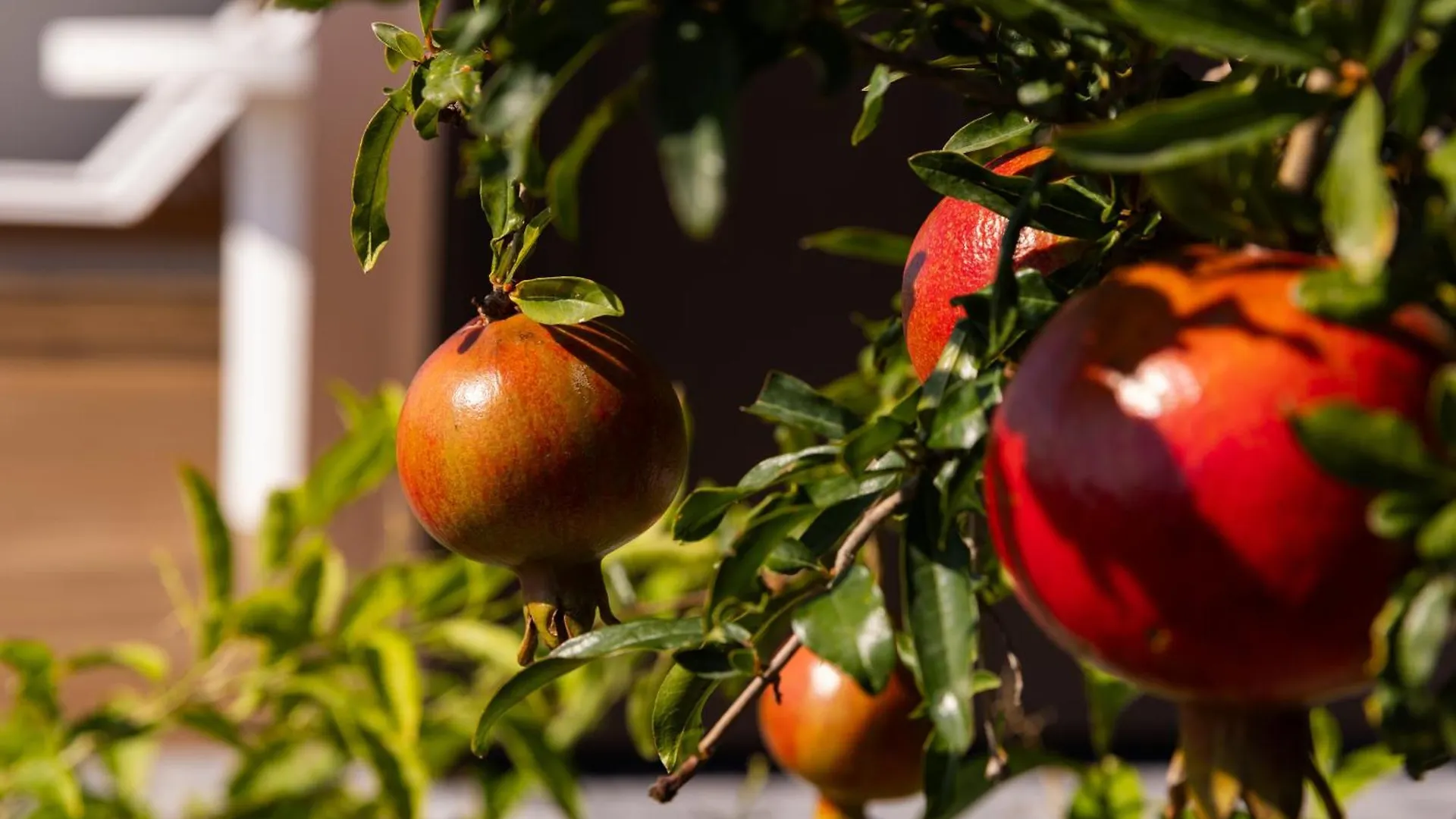 Mantari Eco Lodges (Adults Only) Acireale